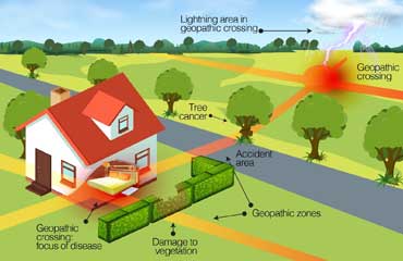 Geo Pathic Radiation / Rays